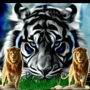 Meet your Posher, Dexter